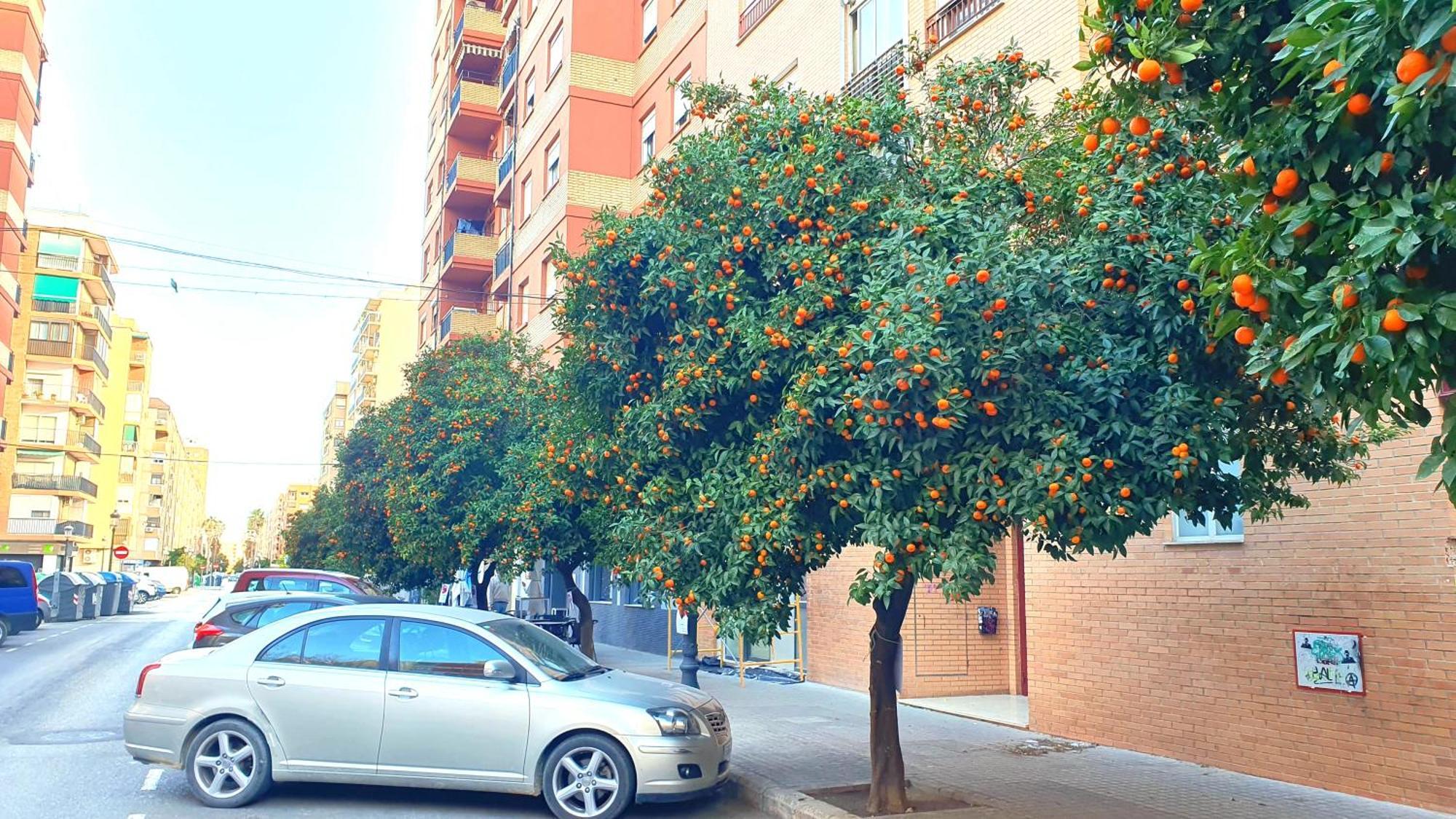 Nuevo Apartamentos Costa Del Alma Valencia Luaran gambar